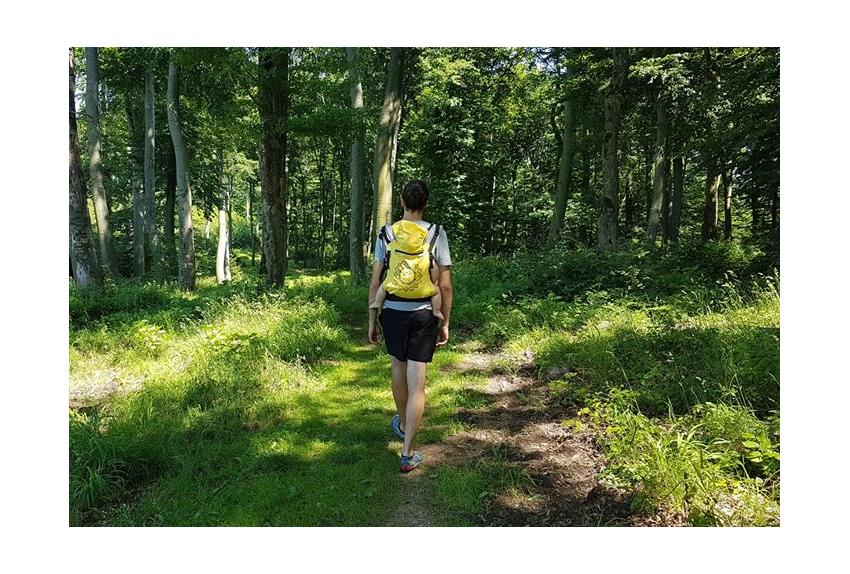 hulladékmentes július - Te meddig jutottál?