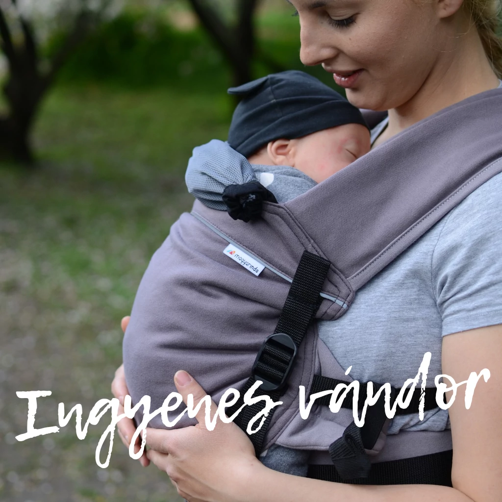MINI kölcsönzés - INGYENES VÁNDOR
